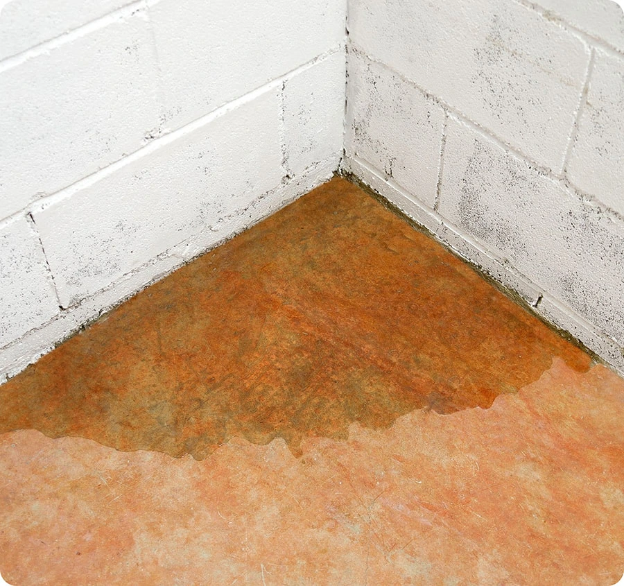Expert Commercial Plumbing Services